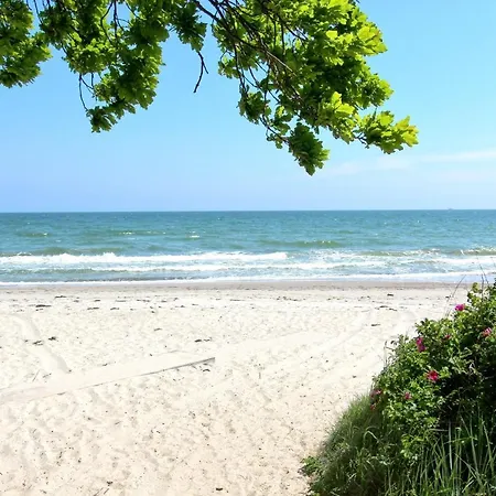 Strandnahe Mit Terrasse, Gratis Nutzung Vom Ahoi Erlebnisbad Und Sauna In Sellin - Rex Rugia 29-3 شقة *