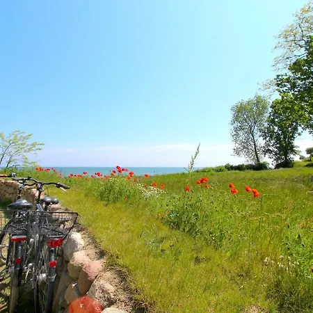 Strandnahe Mit Terrasse, Gratis Nutzung Vom Ahoi Erlebnisbad Und Sauna In Sellin - Rex Rugia 29-3 *
